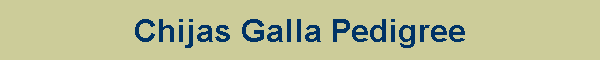 Chijas Galla Pedigree