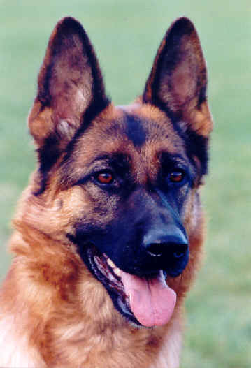 Foto 27 - Chijas Qvana