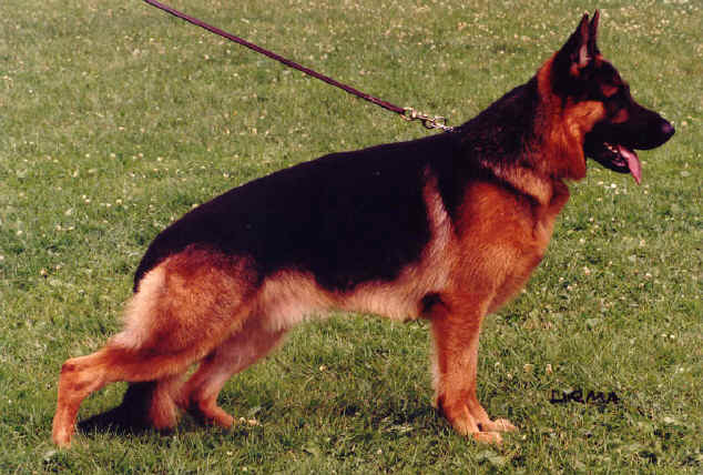 Romero v. d. Noriswand