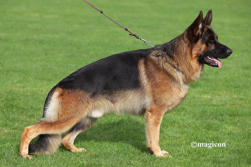 Foto 56 - Untox vom G�tzberg