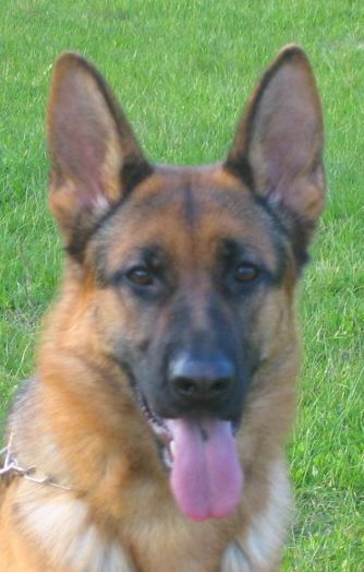 Foto 25 - Chijas Verona