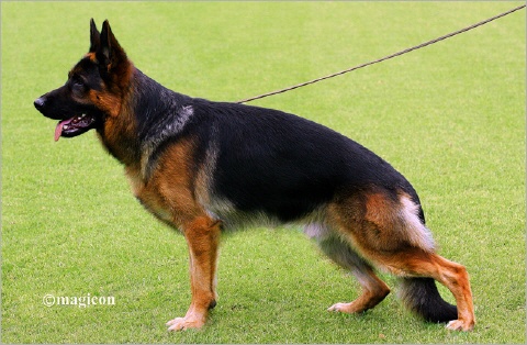 Banderas du Domaine du Parc