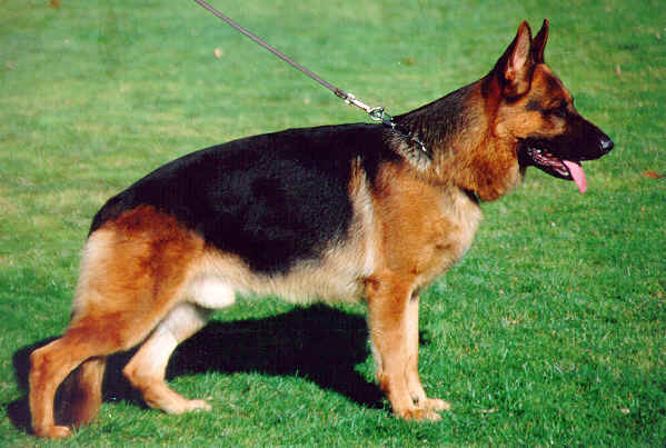 Leif von der Noriswand�