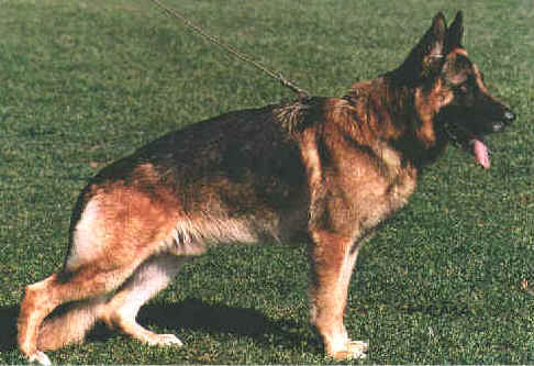 Vopo von L�rchenhain�