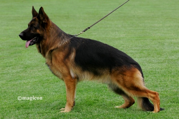 Foto 54 - Omen vom Radhaus